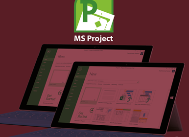 MS Project